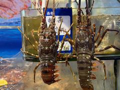 -友强·23年特色海鲜大排档(厦门店)