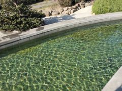 -昆山城市生态森林公园