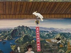 -燕塞湖鸟语林景区