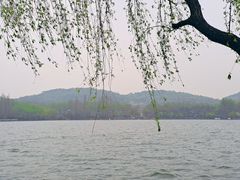 -浙江西子宾馆·牡丹厅