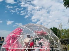 -长白岛森林公园