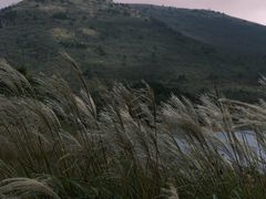 -浙西天池景区