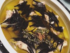 花椒水律-寻味顺德·珍之宝酒楼(银钻店)