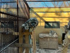 -青藏高原野生动物园