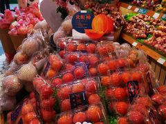 -PAGODA百果园(华发世纪城店)