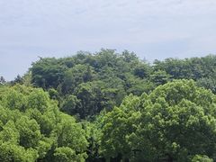 -浙江科技大学(小和山校区)