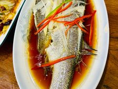 -春和發特色蒸饺(浐河西路店)