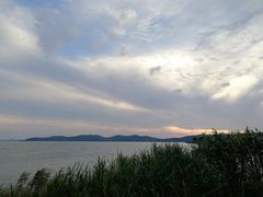 -上海市保健医疗中心(华东疗养院)