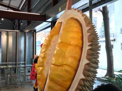 -都念榴莲·城市榴莲