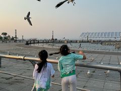 -东港音乐喷泉广场