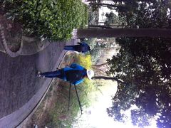 iphone_upload_pic-荆川公园
