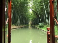 -同里国家湿地公园