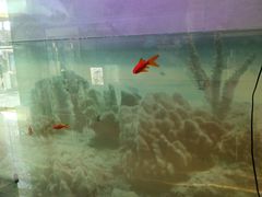 -德全心悦酒店(北京金台路地铁站店)