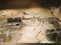 -洛阳周王城天子驾六博物馆