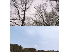 -南京市无想山景区