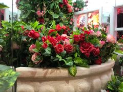 -清远熹乐谷温泉度假酒店