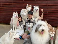 -TrueLove @ Neverland (Husky Cafe)