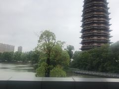 -听松楼-中餐厅.家宴(红梅公园店)