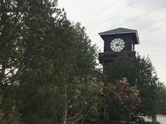 -永定河休闲森林公园