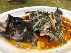老虎斑-丽景酒楼·佛山老字号(广佛智城店)