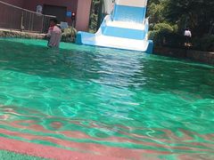 -杭州浪浪浪水公园