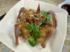 -百利鸽王(紫薇路店)