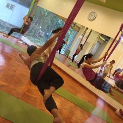 -一花一叶瑜伽生活馆