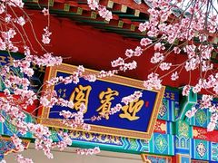 -桃花堤公园
