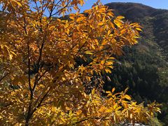 -北京十三陵国家森林公园蟒山景区