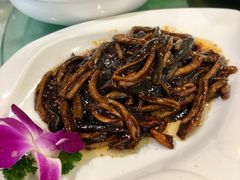 -花园茶楼(兴城西路店)