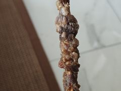 -马记伊源斋涮肉·清真菜(百子湾店)