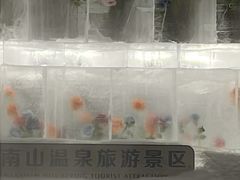 -国信南山温泉
