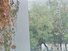-山东师范大学(千佛山校区)