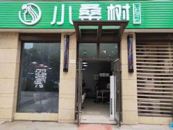 -小桑树染烫改变专门店