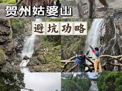 -姑婆山旅游区