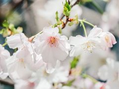 -乌山风景区