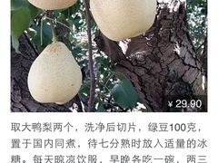 -鑫小城故事·砂锅·排骨藕汤(兴业路店)