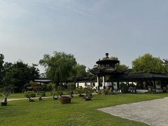 -扬州大运河文化旅游度假区·盆景园