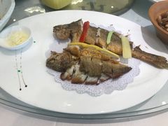-骏莱海鲜鱼港(五角场店)