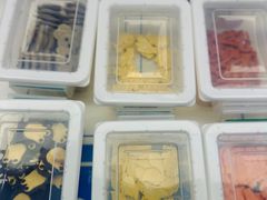 -CORNER CONE GELATO酷矿手作霜淇淋(南头古城店)