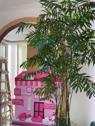 -雅曼妮spa美容养生