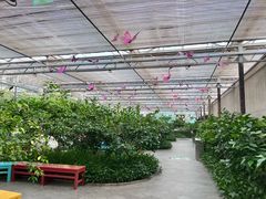 -南宫五洲植物乐园