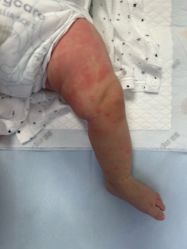 -海豹航航水育游泳中心(芳园里店)