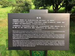 -龙寺生态园