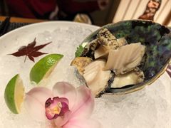-月龍吟(朝龙汇店)