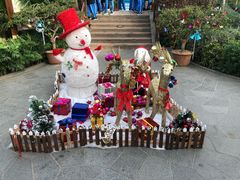 -南宫五洲植物乐园