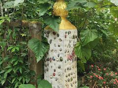 -中国科学院西双版纳热带植物园