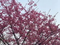 -宝山国家矿山公园