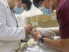 -艾贝尔宠物诊疗