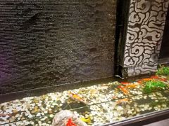 -金太阳海鲜烧烤·本地人餐厅(东纬路旗舰店)